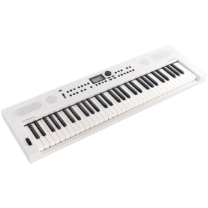 Roland GO:KEYS 5 WH Keyboard