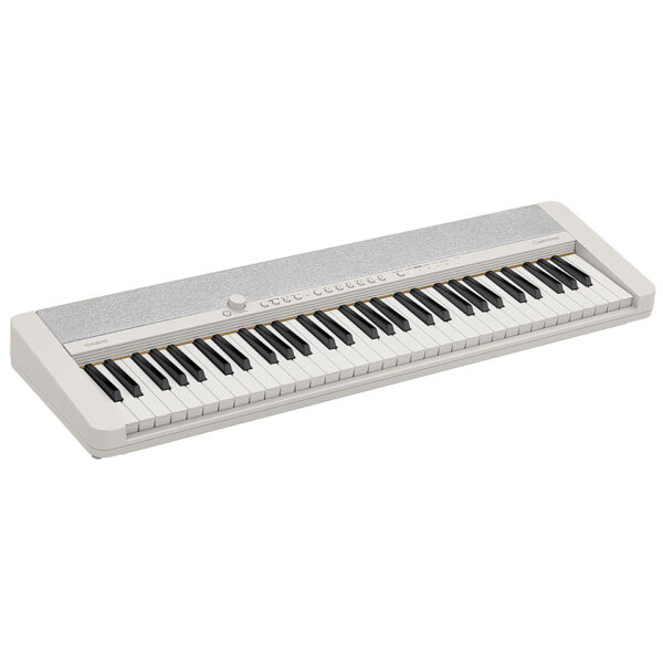 Casio CT-S1 WE Keyboard