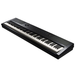 Kurzweil KaE1 LB Stagepiano