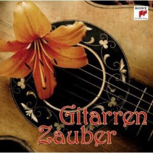 Gitarren-Zauber