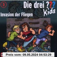 003/Invasion der Fliegen