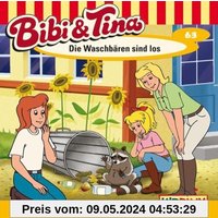 Die Waschbären Sind Los