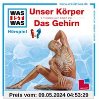 Folge 11: Unser Körper/das Gehirn