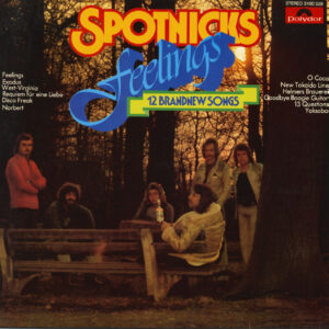 The Spotnicks - Feelings (LP)