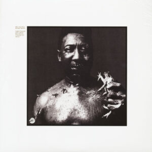 Muddy Waters - After The Rain (LP)