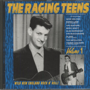 Various - The Raging Teens - Wild New England Rock'n'Roll Vol.1 (CD)