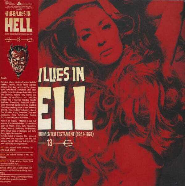 Various - Hillbillies In Hell Vol.13 (LP