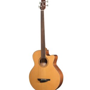 Stanford Big-Sur fretless