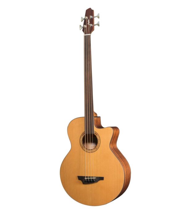 Stanford Big-Sur fretless