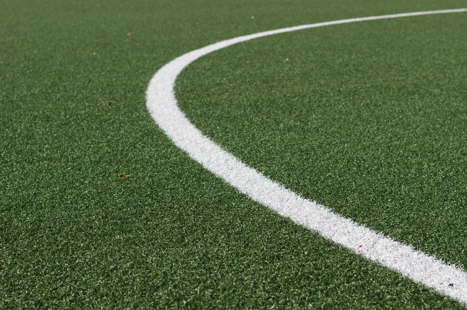 green and white soccer field