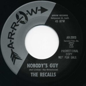 The Recalls - Reesie - Nobody's Guy (7inch