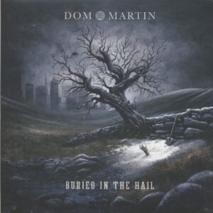 Dom Martin - Buried in the Hail (LP)