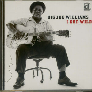 Big Joe Williams - I Got Wild