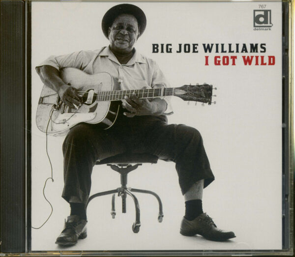 Big Joe Williams - I Got Wild