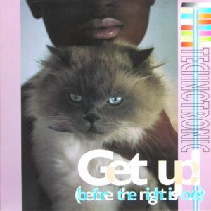 Get up (before the night is over) [Vinyl Single]