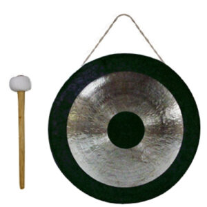 Gong Asian Sound 22"