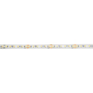 EUROLITE LED IP Strip 600 5m 2835 4000K 24V