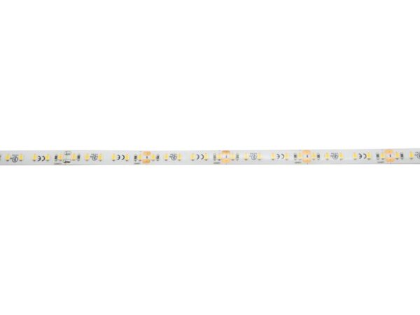 EUROLITE LED IP Strip 600 5m 2835 4000K 24V