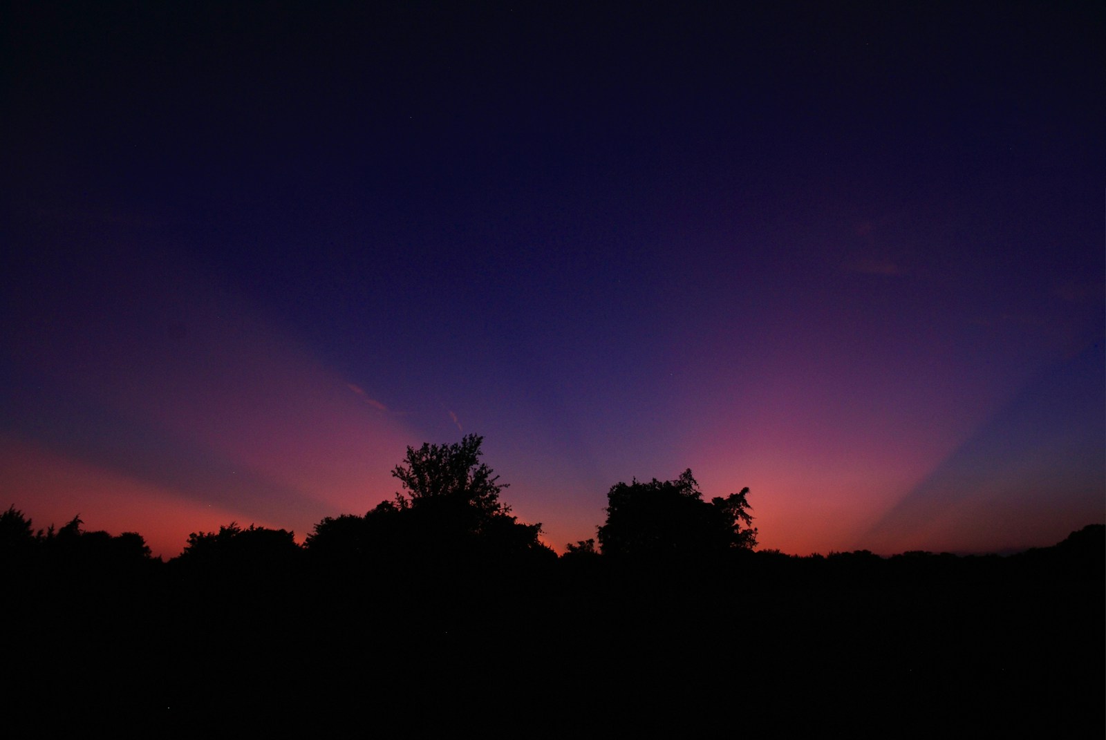 silhouette of trees during sunset