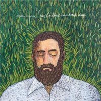 Iron And Wine: Our Endless Numbered Days