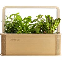 BerlinGreen GreenBox - Birke