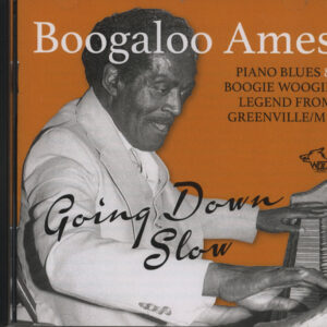 Boogaloo Ames - Going Down Slow (CD)