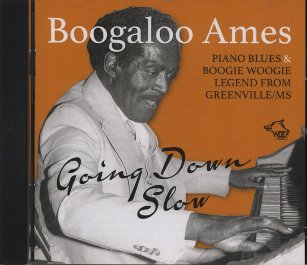 Boogaloo Ames - Going Down Slow (CD)