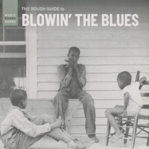 Various - The Rough Guide To Blowin' The Blues (LP)