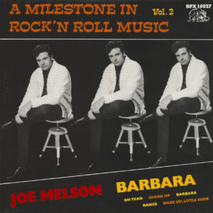 Joe Melson - A Milestone In Rock'N Roll Music Vol.2 (LP)