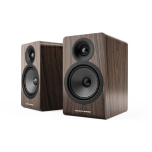 Acoustic Energy AE100² walnut (Paar)