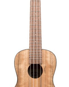 Konzert Ukulele Kala KA PWC RW