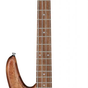 E-Bass Ibanez GSR100-MOL