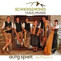 Aufg'spielt ba Pfitsch in-Instrumental