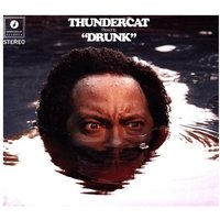 Thundercat: Drunk