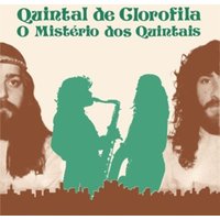 O Mistrio Dos Quintais