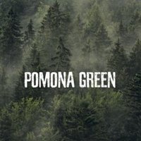 Pomona Green