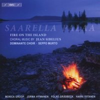 Saarella palaa-Feuer auf der Insel