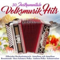 30 instrumentale Volksmusik Hits