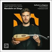 Mandolin on Stage