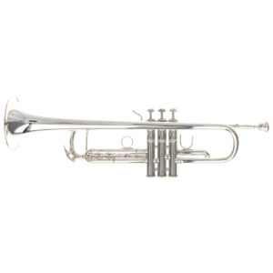 B-Trompete Bach Stradivarius 170-43GYR