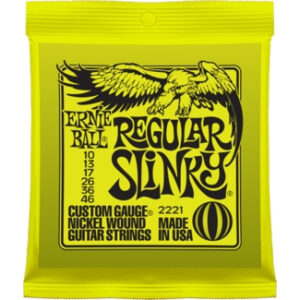 Saitensatz Ernie Ball EB2221 Regular Slinky Nickel