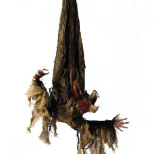 Animierte Fledermaus Figur