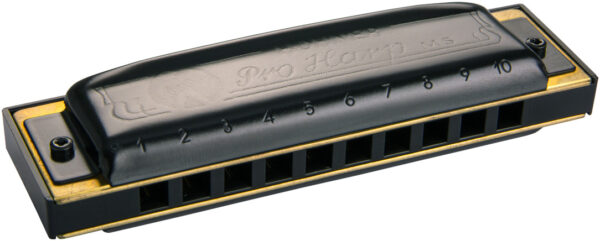 Mundharmonika Hohner Pro Harp MS F