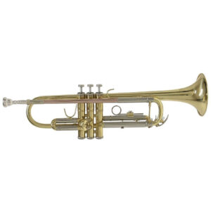 Bach TR650 Perinettrompete